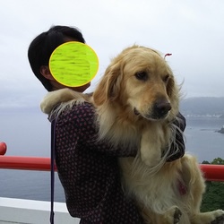 静岡旅行に行ってきました②