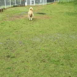 静岡旅行に行ってきました③