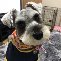 るる