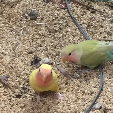 今から飛んで来ます。