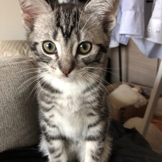 ありがとうございました