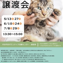 刈谷で開催!!猫の譲渡会!!