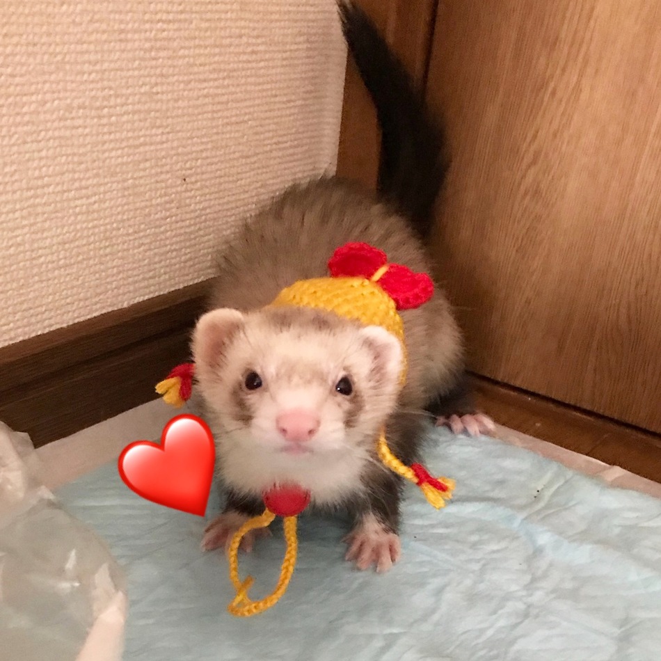 ミルクのカバー写真