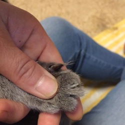 「扁平上皮癌への不安」サムネイル3