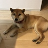 暖海剣