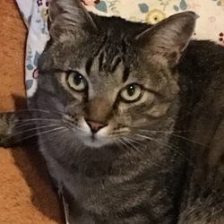 共に乗り越える家族。