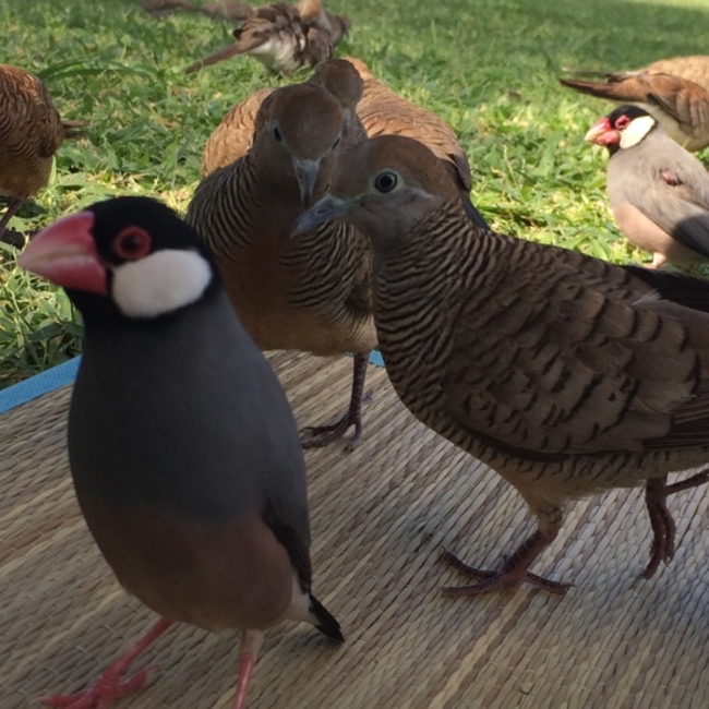 ユキ７のカバー写真