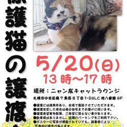 【札幌市】保護猫の譲渡会