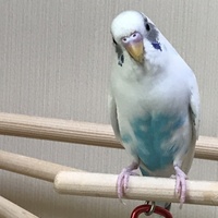魂 マブイ