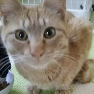 穏やかな草食系のいちくん❗️