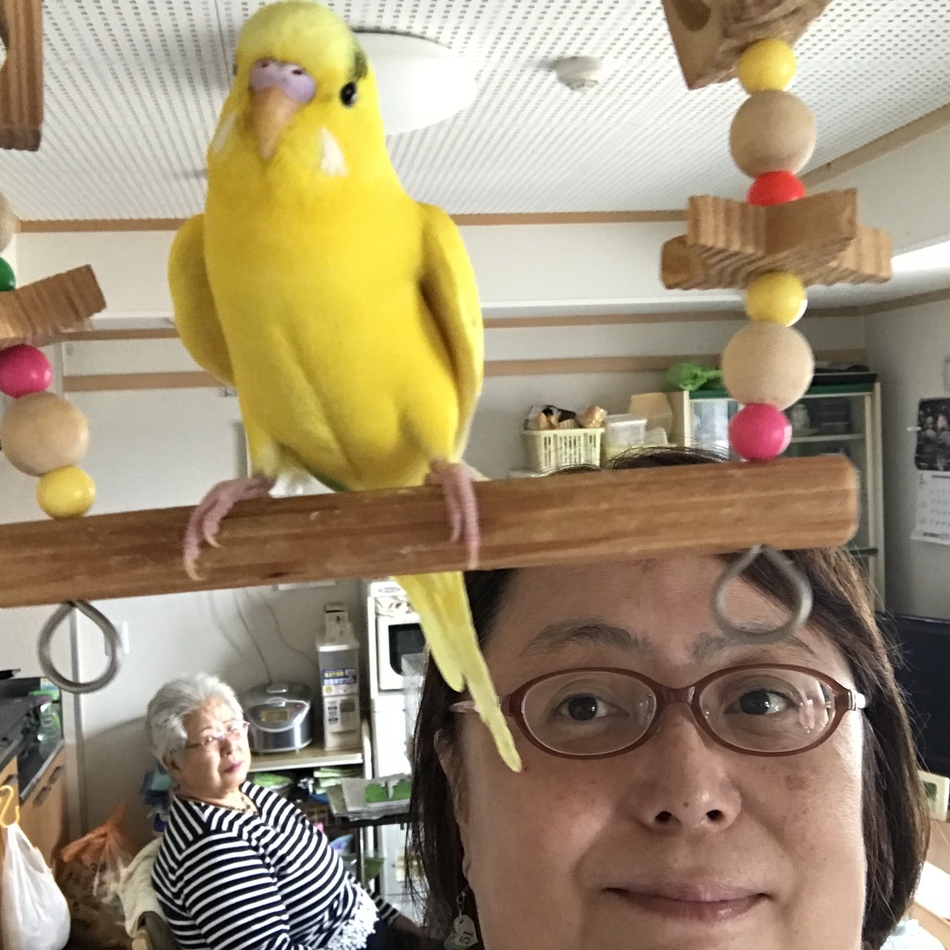 くーちゃんのカバー写真