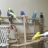 みんな仲良く
