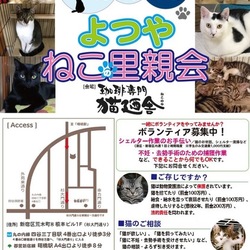 四谷猫廼舎（よつやねこのや）　里親会