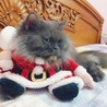実家にいる10歳のみゆちゃんです♫