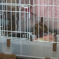 病院に行ってきました。