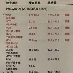 「術後の様子と輸血に至るまで」サムネイル2