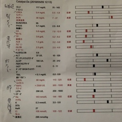 「術後の様子と輸血に至るまで」サムネイル3