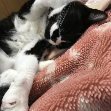 斑「ボク　こんなに元気になりました♪心配かけちゃって　ごめんなさい！そして、ありがとう！」