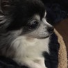 ウェンディママ