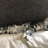 伸びきってます