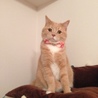 の写真