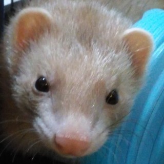 沢山のご応募ありがとうございました。