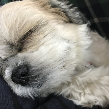 お腹の上でお昼寝中（笑）