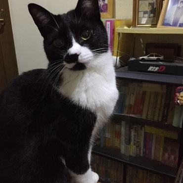 ゆづ樹ちゃん♪　ありがとう！　大変だけど。ボクも弟、妹と一緒が大好きだから！