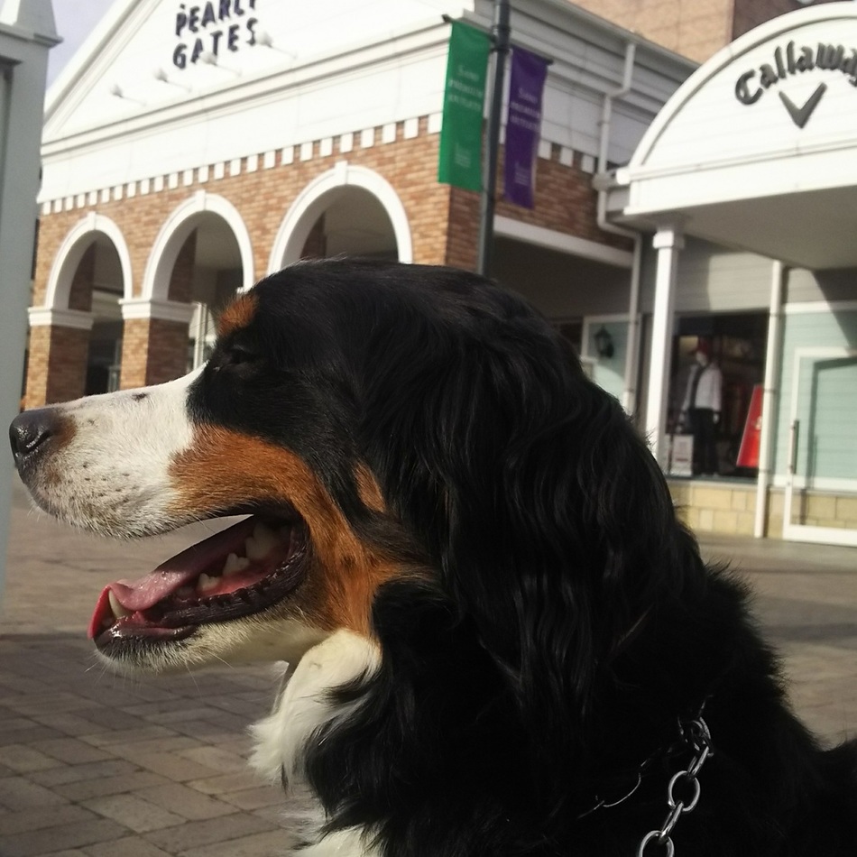 ALLENのカバー写真