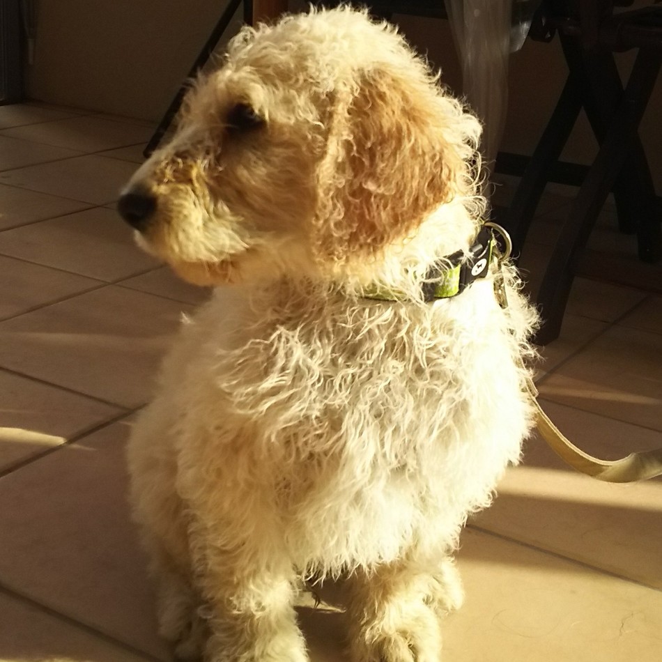 BARRYのカバー写真