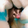 さえさえさえ