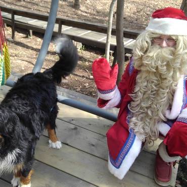 那須高原　フィンランドの森にて