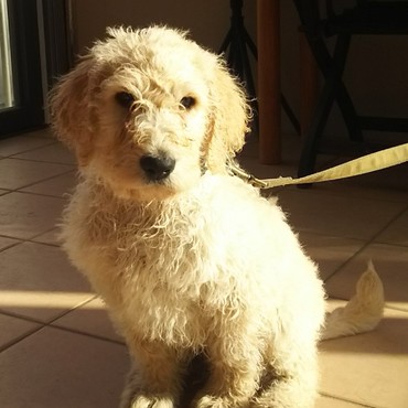 ２０１８年　４月２５日　うちの子