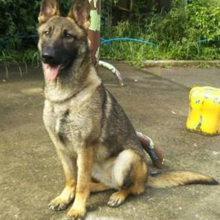 一旦締め切らせていただきます