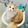 の写真