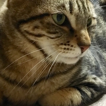 男前モード