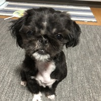 愛和