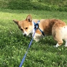 の写真