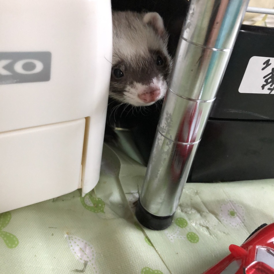 ギルのカバー写真