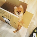 大切にしていただける方