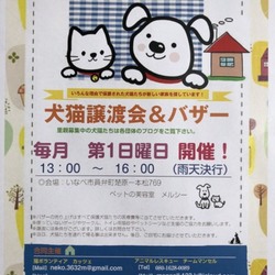 犬猫譲渡会&バザー