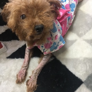 人懐っこくて好奇心旺盛です。