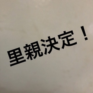 可愛い子猫