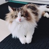 のんびり