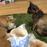 ハナとるぅな