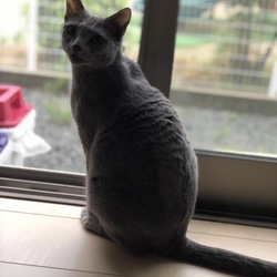 3週間とちょっと