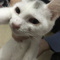 僕の家族募集中