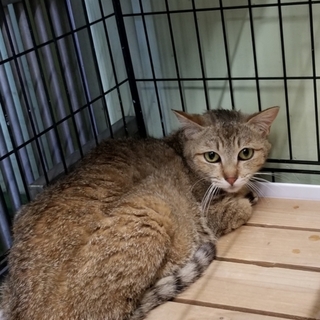 里親様決定❤  ありがとうございました