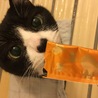 あやみぃ
