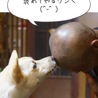 孤高の狼